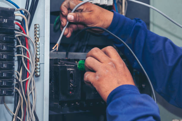 Best Local Electrician Companies  in Youngsville, LA